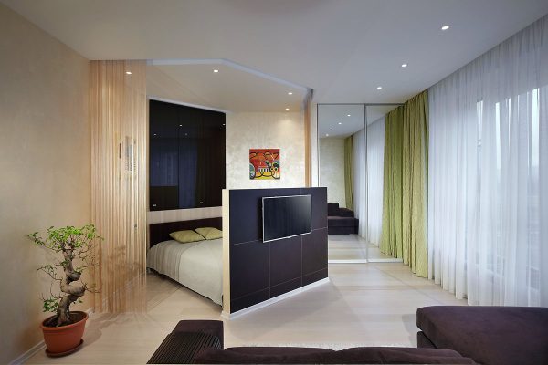 Дизайн и интерьер гостиной со спальным местом.